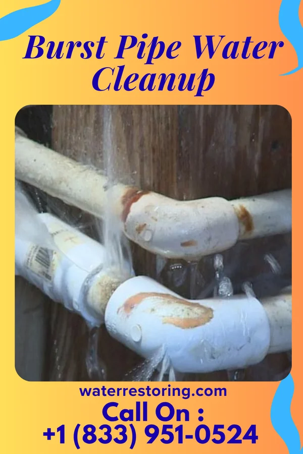Burst Pipe Water Cleanup in St. Clair, MI