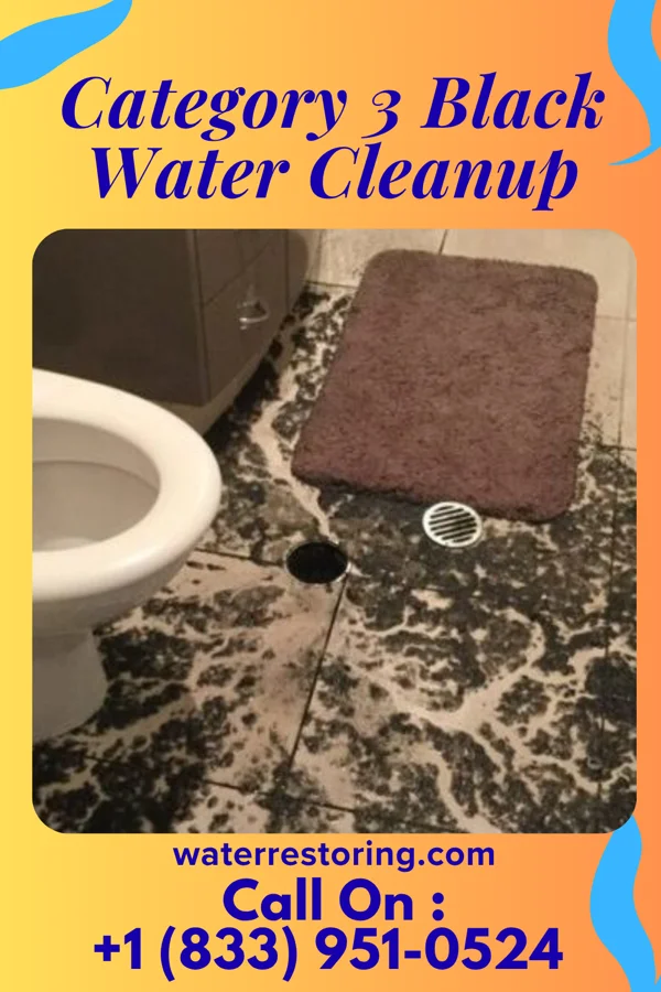 Category 3 Black Water Cleanup in St. Clair, MI