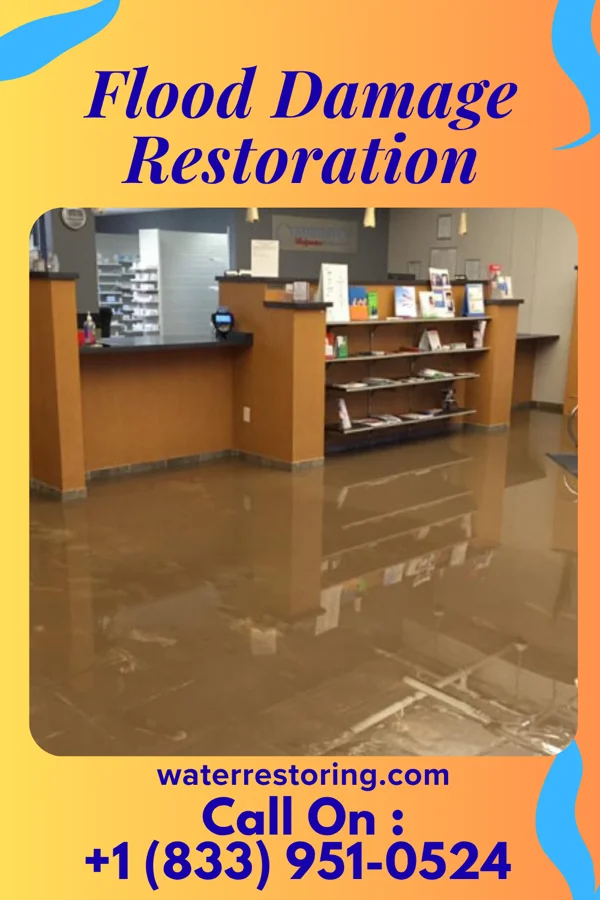 Flood Damage Restoration in St. Clair, MI