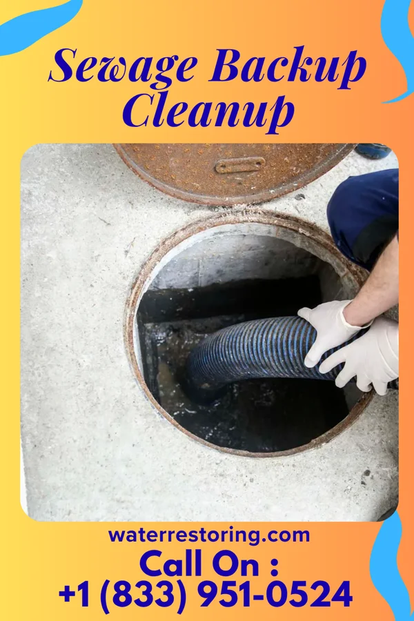 Sewage Backup Cleanup in St. Clair, MI
