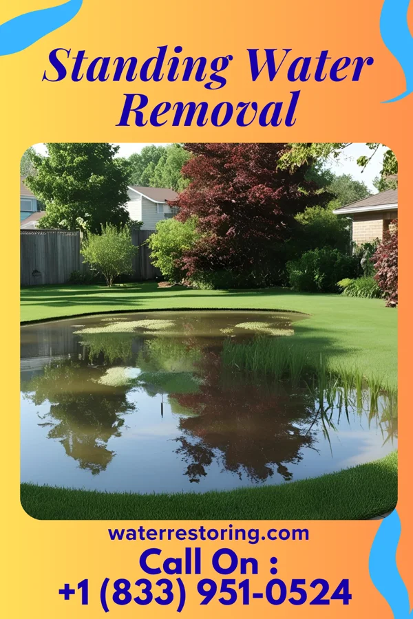 Standing Water Removal in St. Clair, MI